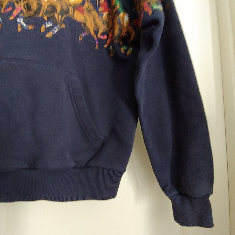 Polo Ralph Lauren Equestrian Heritage Preppy  English Countryside Hoodie Youth S - Picture 7 of 14